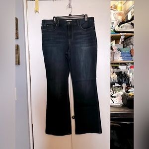 Women’s size 16 Sofia jeans, Marisol bootcut